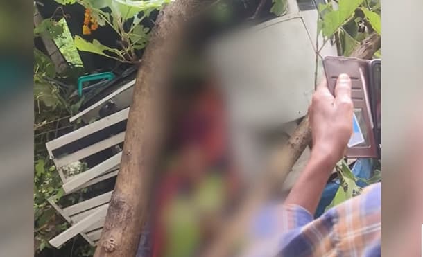 നെല്ലിയാമ്പതി ചുരത്തിൽ കെ.എസ്.ആർ.ടി.സി ബസ് നിയന്ത്രണം വിട്ട് മറിഞ്ഞു; ഒരാൾക്ക് ദാരുണാന്ത്യം, അമ്പതിലേറെ പേർക്ക് പരിക്ക്