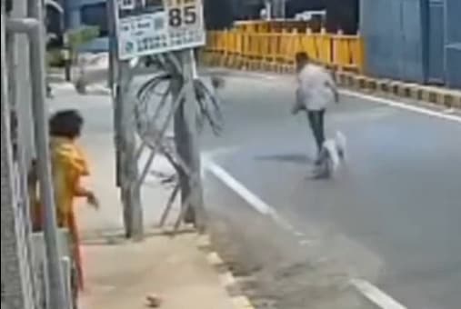 മാനസിക വെല്ലുവിളി നേരിടുന്ന യുവതിക്ക് നേരെ ലൈംഗികാതിക്രമ ശ്രമം; അക്രമിയെ കടിച്ചോടിച്ച് രക്ഷകരായി തെരുവുനായ്ക്കൾ, പ്രതി പോലീസ് പിടിയിൽ