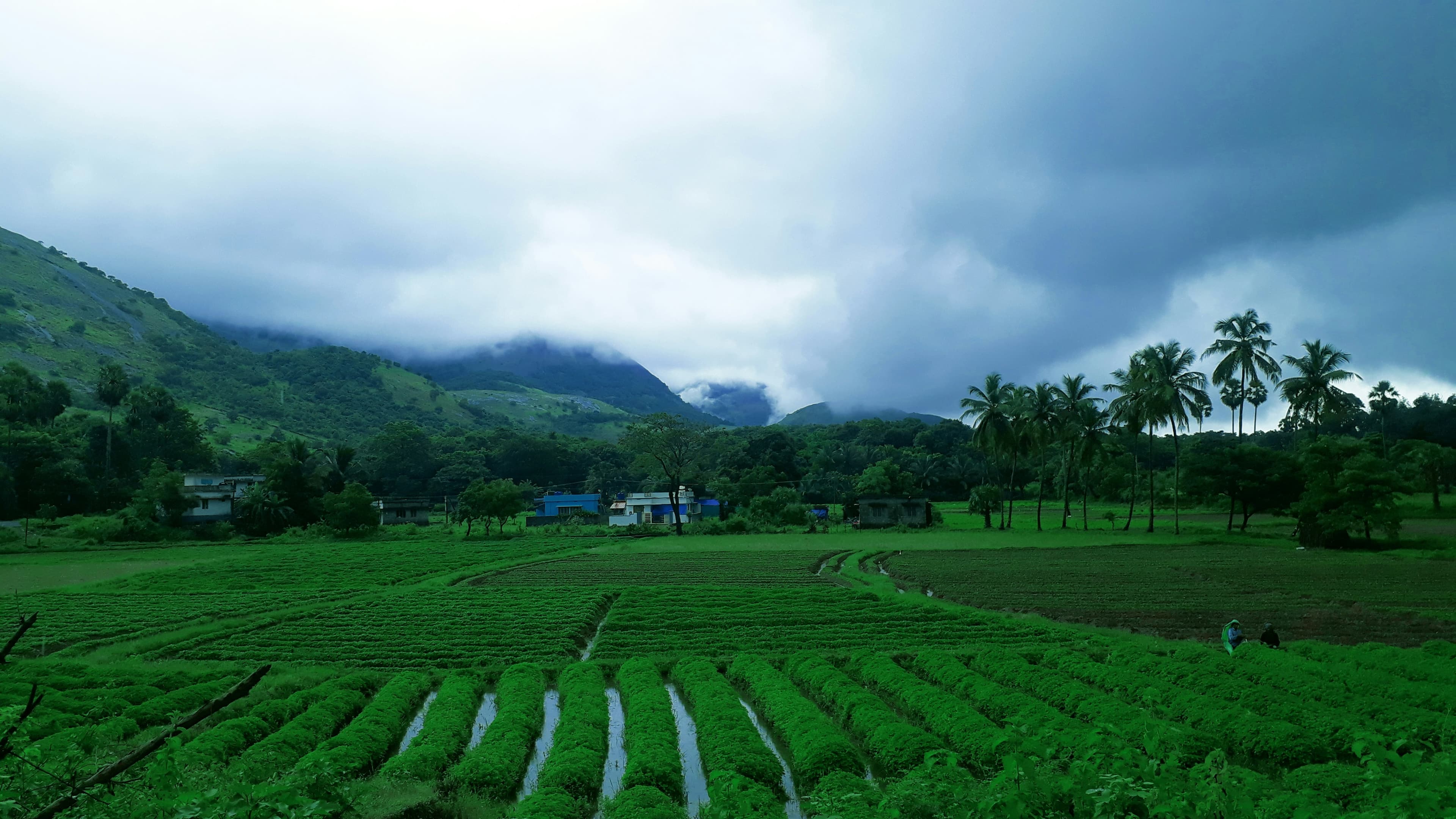 ബംഗാൾ ഉൾക്കടലിൽ ന്യൂനമർദ്ദ സാധ്യത; ശനിയാഴ്ച വരെ കനത്ത മഴ ലഭിച്ചേക്കും, ചൂടിന് ശമനം