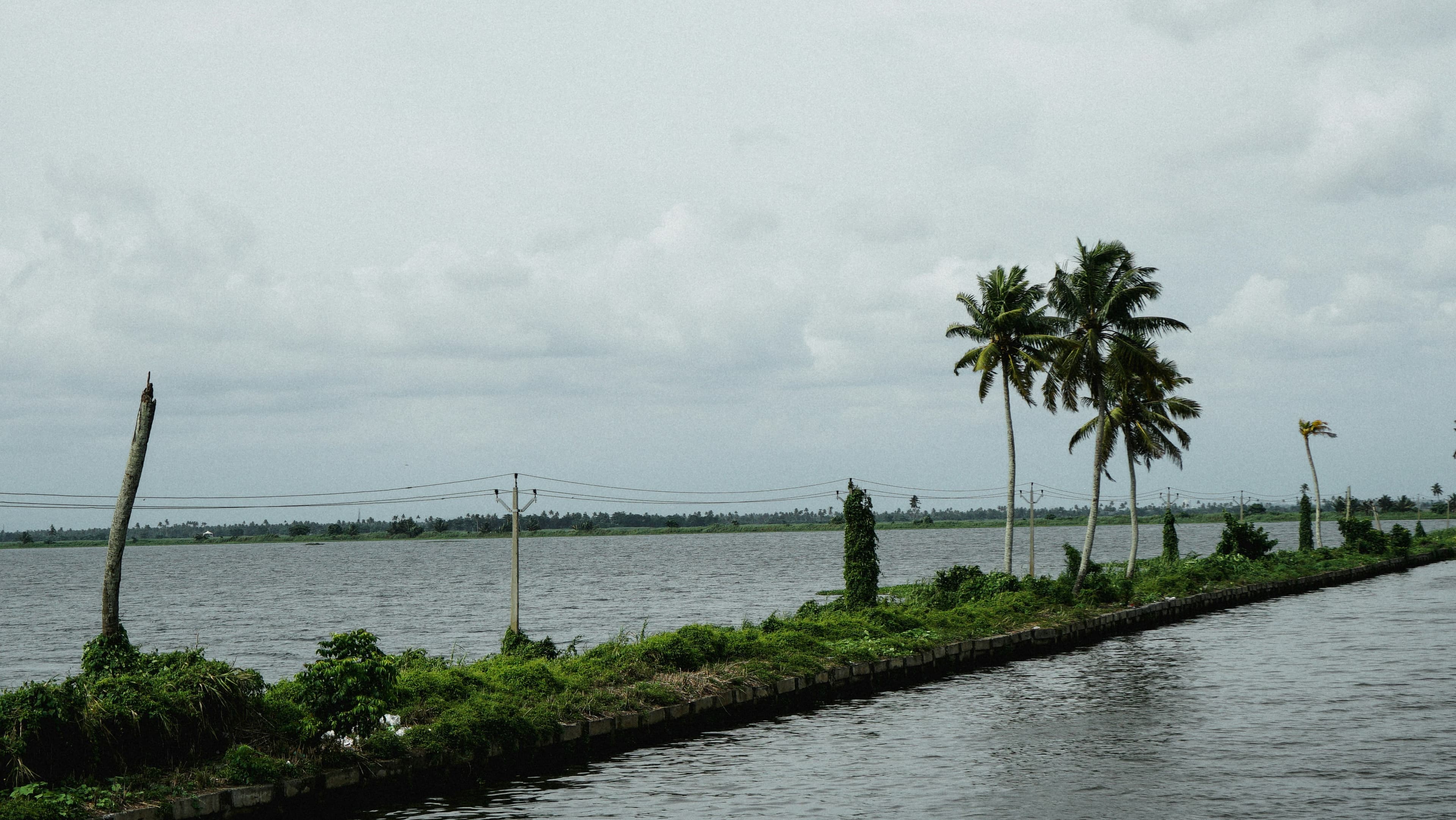 ചൂടിന് ശമനമായി സംസ്ഥാനത്ത് വേനൽമഴയെത്തുന്നു; വിവിധ ജില്ലകളിൽ ഒറ്റപ്പെട്ട ശക്തമായ മഴയ്ക്ക് സാധ്യത