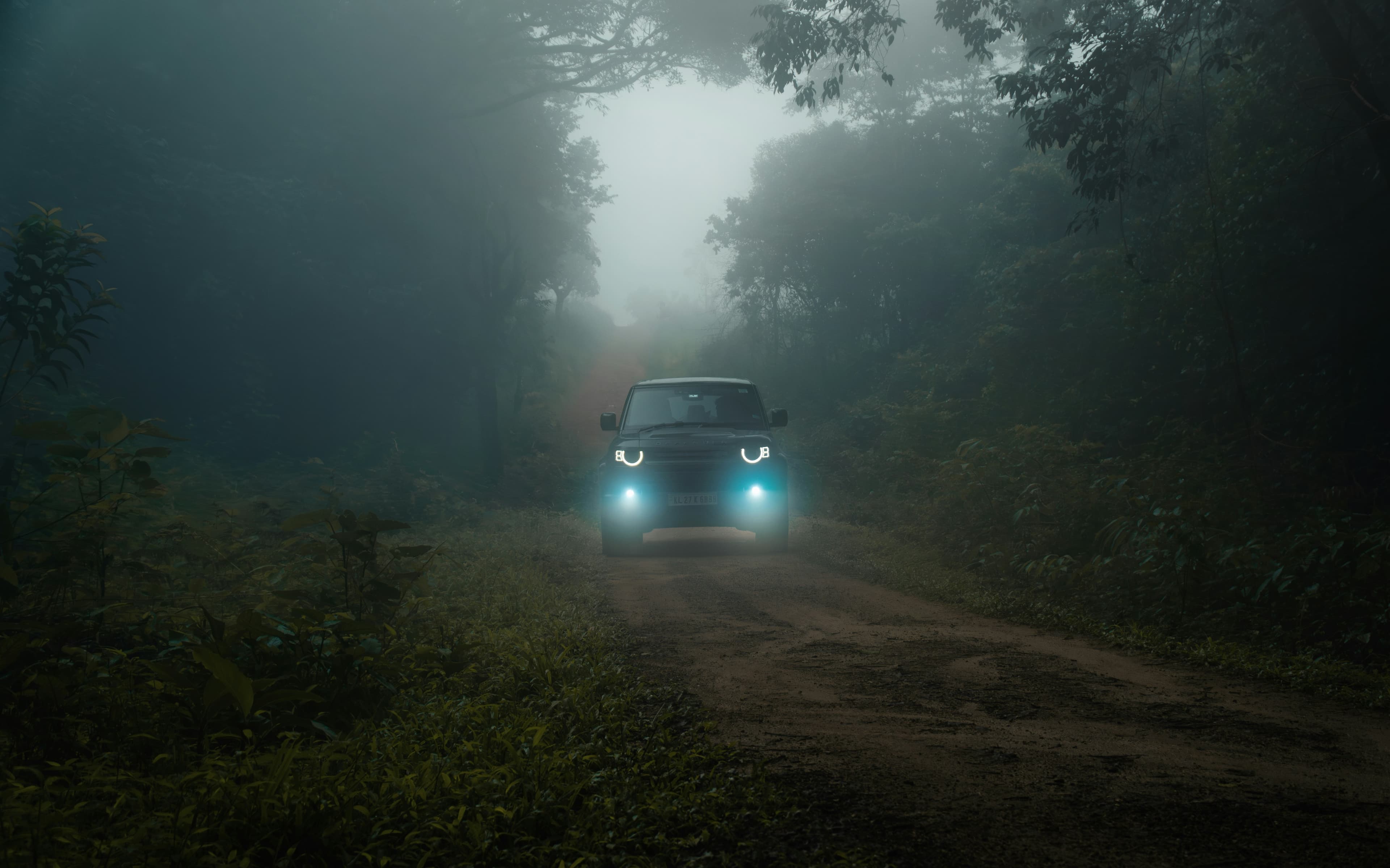 വനമേഖലയോട് ചേർന്ന തോട്ടങ്ങളിൽ രാത്രികാല യാത്രാവിലക്ക്; ഇടുക്കി ജില്ലാ കളക്ടറുടെ ഉത്തരവിനെതിരെ പ്രതിഷേധം ശക്തം