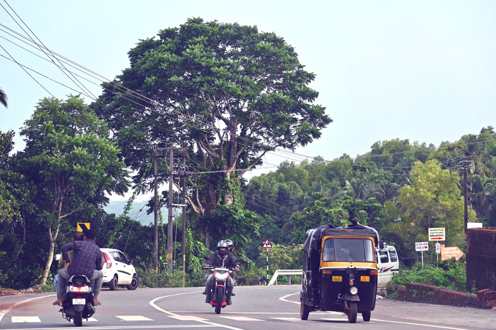 സംസ്ഥാനത്ത് എഐ ക്യാമറകൾ വീണ്ടും പ്രവർത്തനസജ്ജം; ഗതാഗത നിയമലംഘനങ്ങൾക്ക് പിഴ ഈടാക്കൽ പുനരാരംഭിച്ചു
