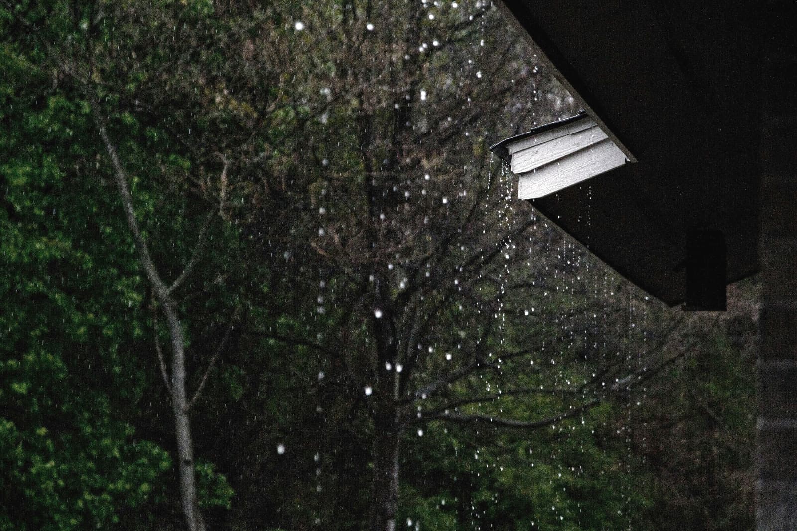 കനത്ത മഴയിൽ പ്രകൃതിക്ഷോഭം കടുക്കുന്നു; ഇടുക്കിയിലും കോട്ടയത്തും ഉരുൾപൊട്ടൽ, പല ജില്ലകൾക്കും അവധി