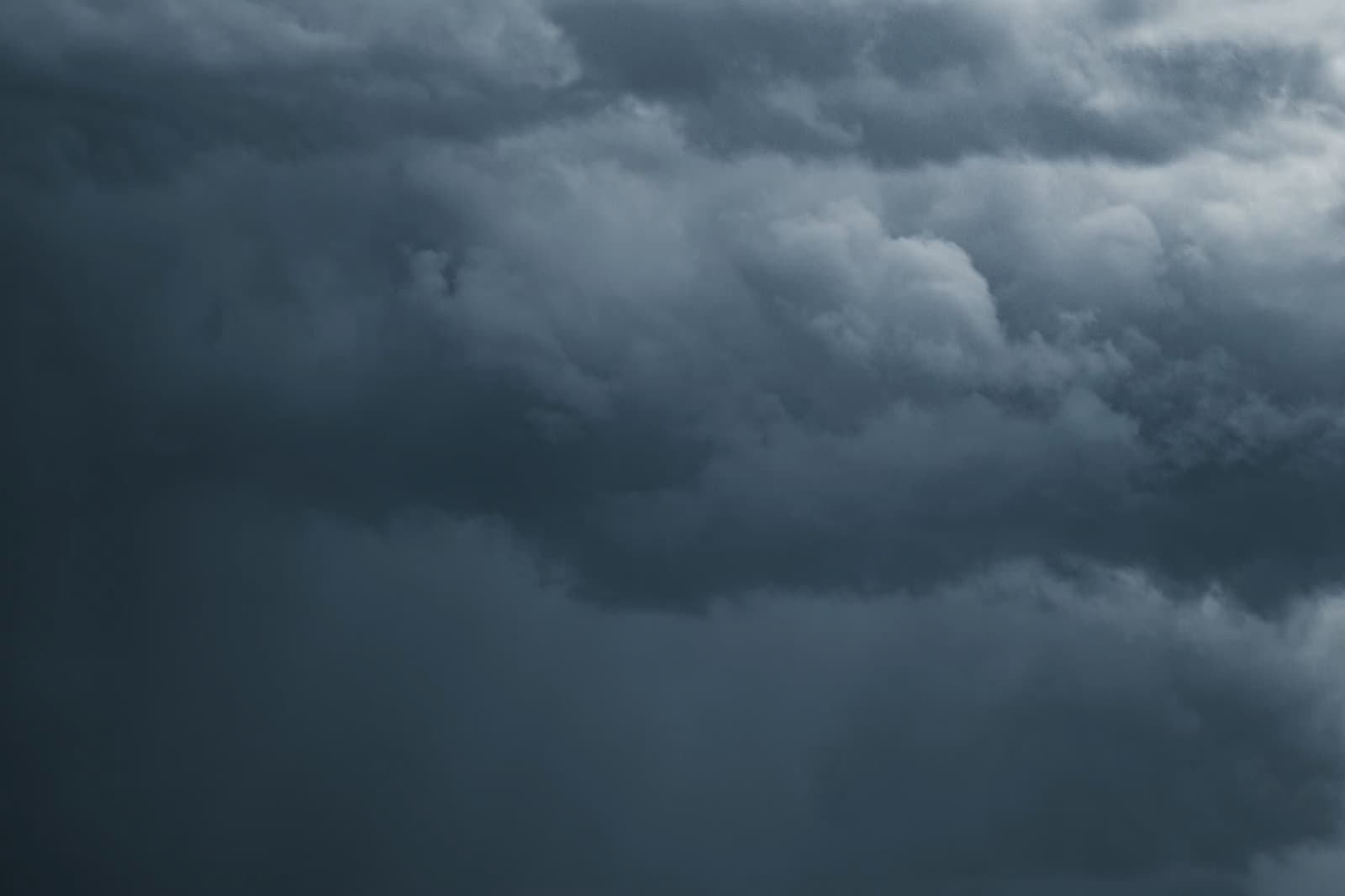 കനത്ത മഴ: പാലക്കാട് മലയോര മേഖലകളിൽ സഞ്ചാരികൾക്ക് വിലക്ക്; നെല്ലിയാമ്പതി ചുരത്തിൽ മരം വീണ് ഗതാഗതം തടസ്സപ്പെട്ടു