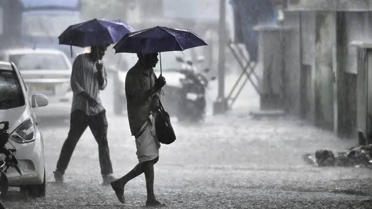 സംസ്ഥാനത്ത് കാലവർഷ മഴയിൽ 22 ശതമാനത്തിന്റെ ഇടിവ്; ഏറ്റവും കുറവ് രേഖപ്പെടുത്തി വയനാടും ഇടുക്കിയും