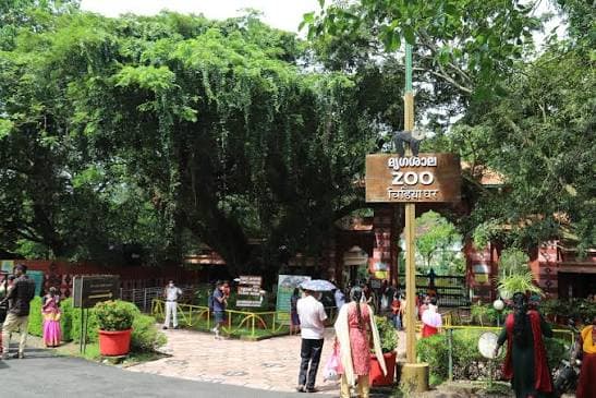 ഒൻപത് വർഷത്തെ ഇടവേളയ്ക്ക് ശേഷം തലസ്ഥാന മൃഗശാലയിലേക്ക് സീബ്രകൾ എത്തുന്നു; ഗുജറാത്തിലെ വൻതാരയിൽ നിന്നുള്ള പുതിയ അതിഥികൾ ഓണത്തിന് വിരുന്നാകും
