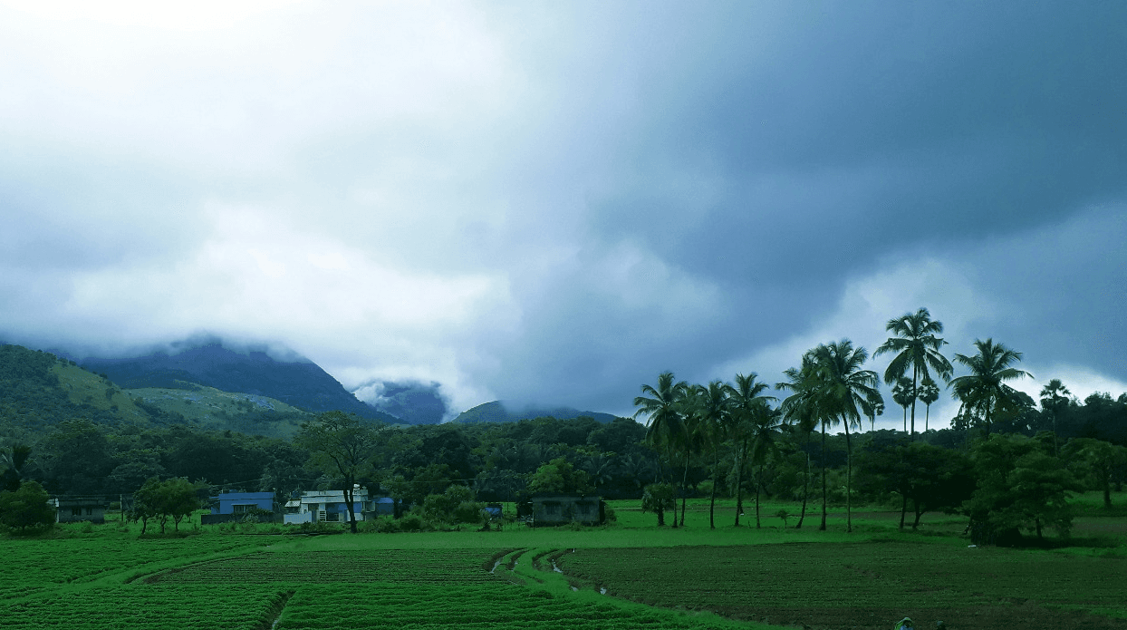 തീവ്ര ന്യൂനമർദ്ദ സ്വാധീനത്തിൽ സംസ്ഥാനത്ത് വീണ്ടും മഴ ശക്തമാകുന്നു; 5 ജില്ലകളിൽ യെല്ലോ അലർട്ട്, തീരമേഖലകളിൽ റെഡ് അലർട്ട് ജാഗ്രത