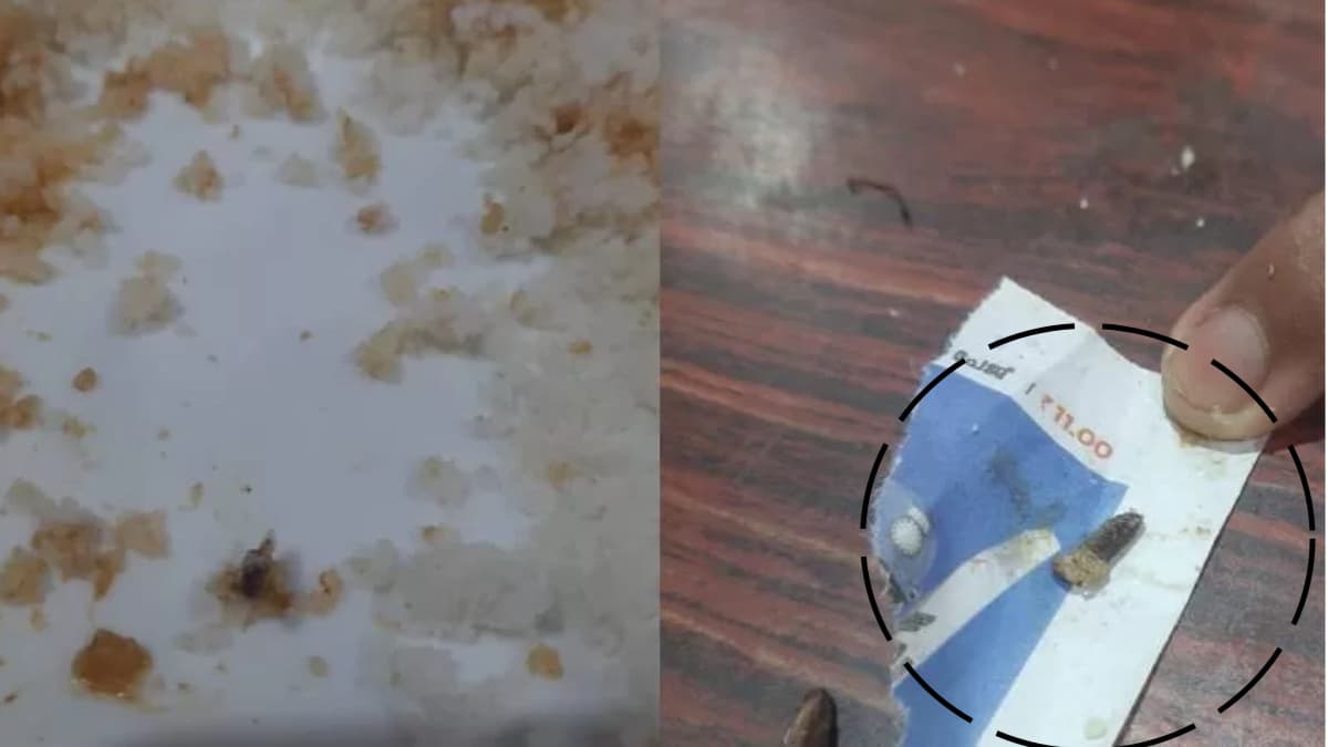 കേരള സ്കൂൾ കായികമേളയിലെ പ്രഭാതഭക്ഷണത്തിൽ പുഴുവിനെ കണ്ടെത്തി; സംഘാടകർക്കെതിരെ പരാതിയുമായി രക്ഷിതാക്കൾ